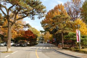 오산대학교 가을 전경 도로