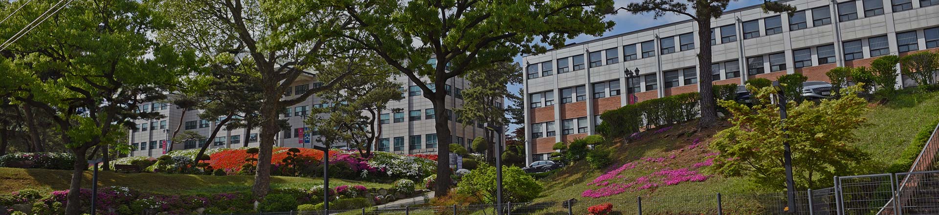 International Students